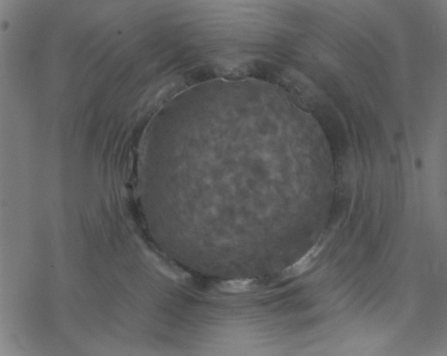 X0000077360090200611031857