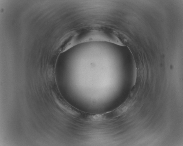 X0000077360092200611031857