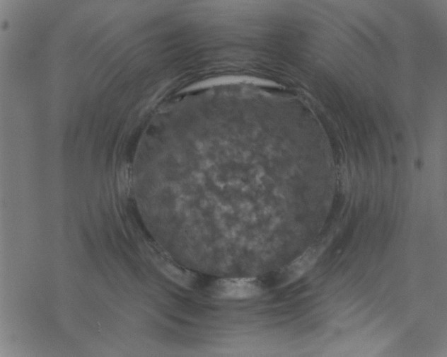 X0000077360093200611031857