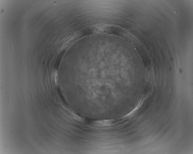 X0000077360094200611031857