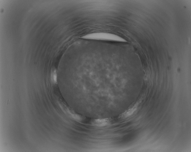 X0000077360095200611031857