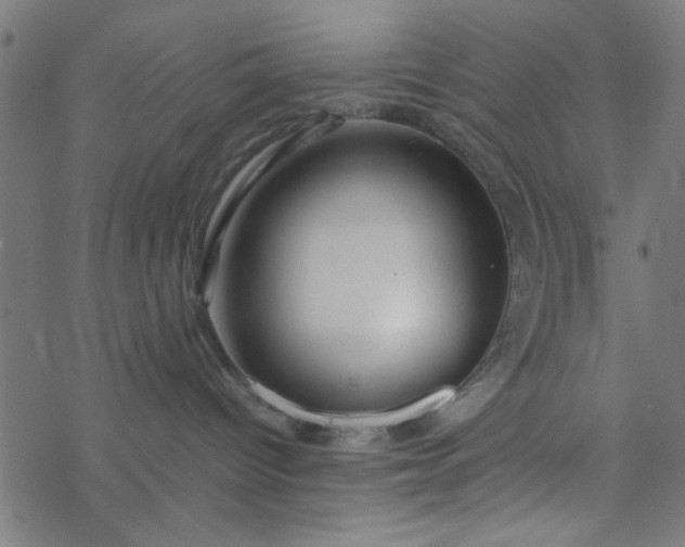 X0000077360096200611031857