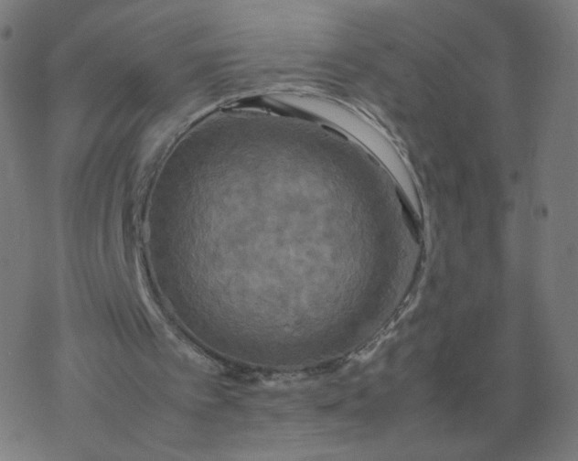 X0000077360097200611031856