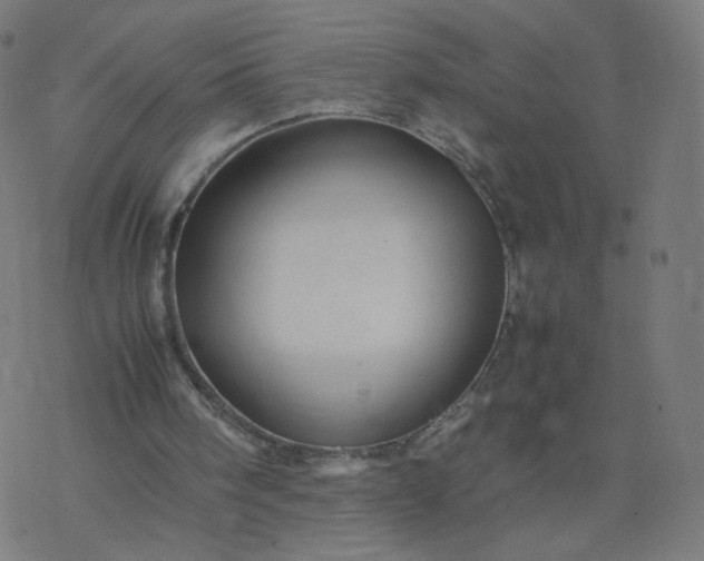 X0000077360098200611031856