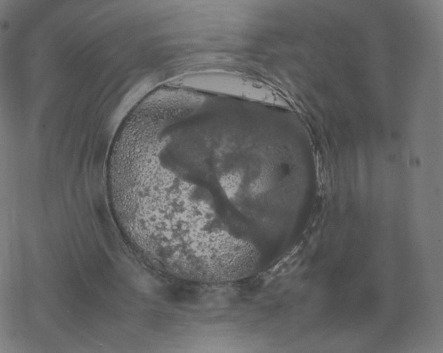 X0000077360099200611031856