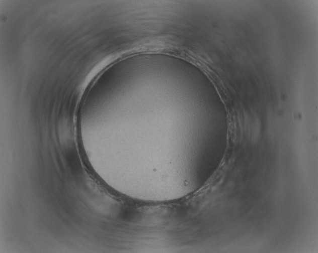 X0000077360100200611031856