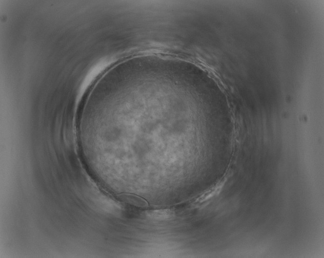 X0000077360102200611031856