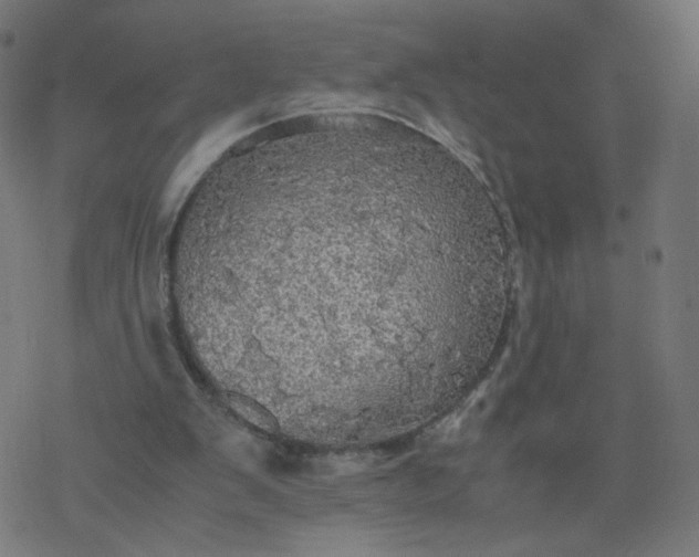 X0000077360103200611031856