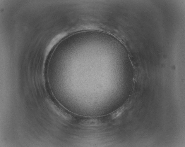 X0000077360104200611031856