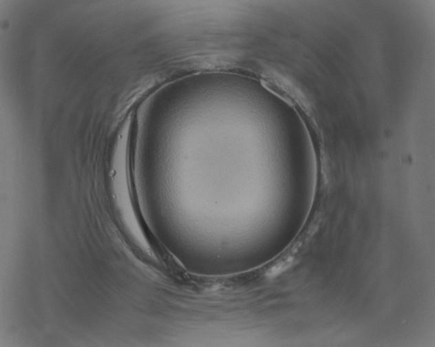 X0000077360105200611031856