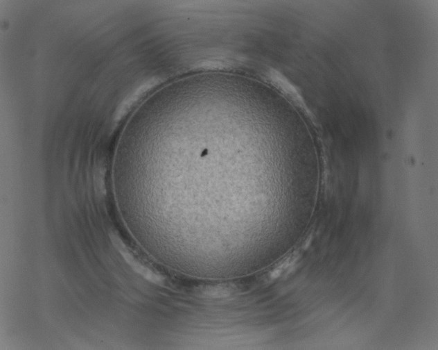 X0000077360106200611031856