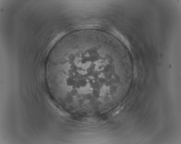 X0000077360107200611031856