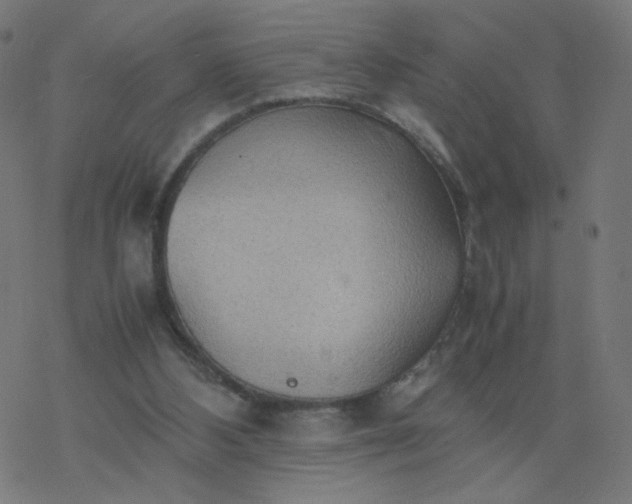 X0000077360108200611031856