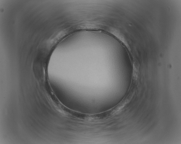 X0000077360109200611031856