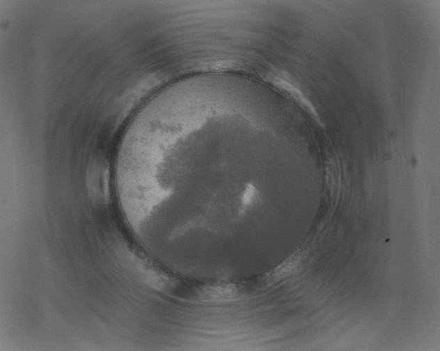 X0000077360110200611031856