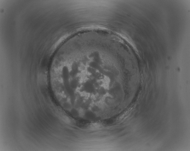 X0000077360111200611031856