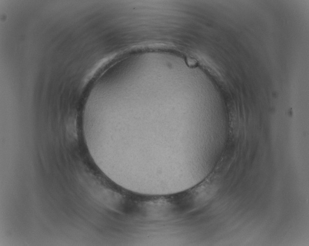 X0000077360112200611031856