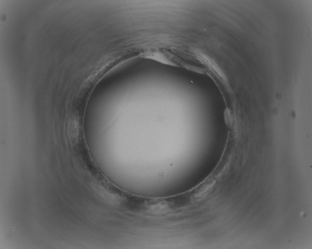 X0000077360113200611031856