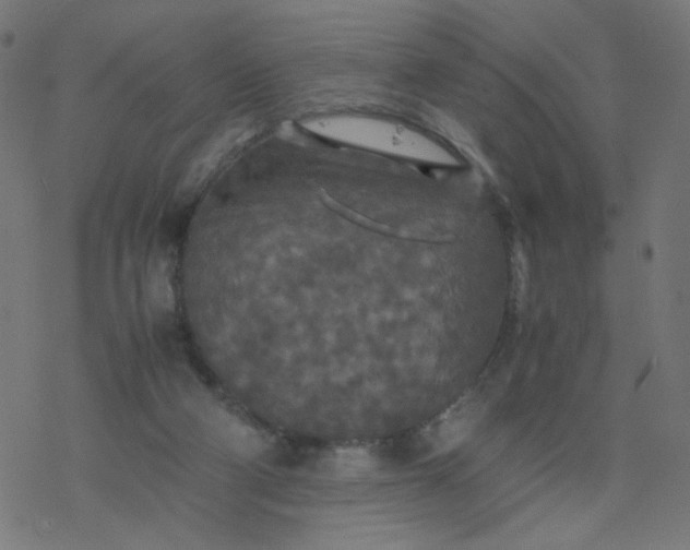 X0000077360114200611031856