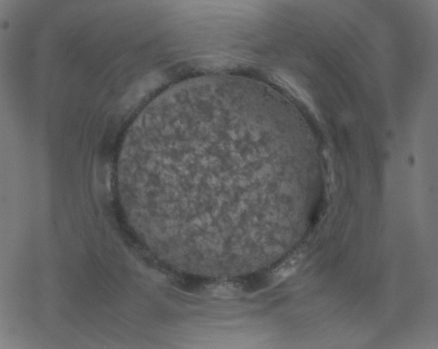 X0000077360115200611031856