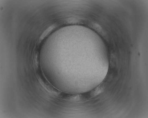 X0000077360116200611031856