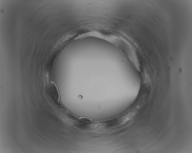 X0000077360117200611031856