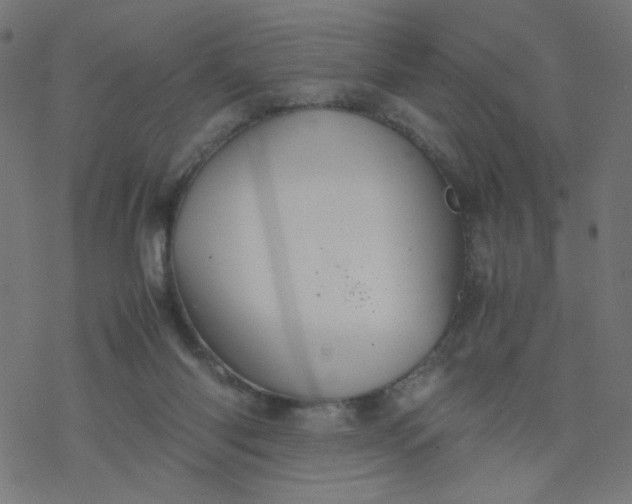 X0000077360118200611031856