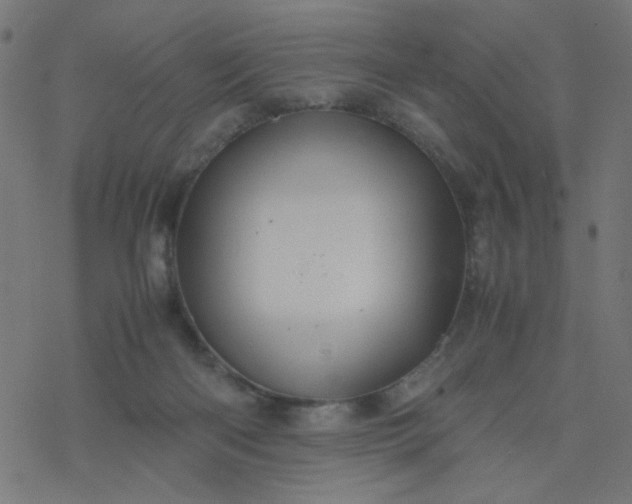 X0000077360122200611031856