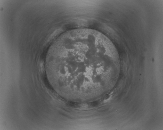 X0000077360123200611031856