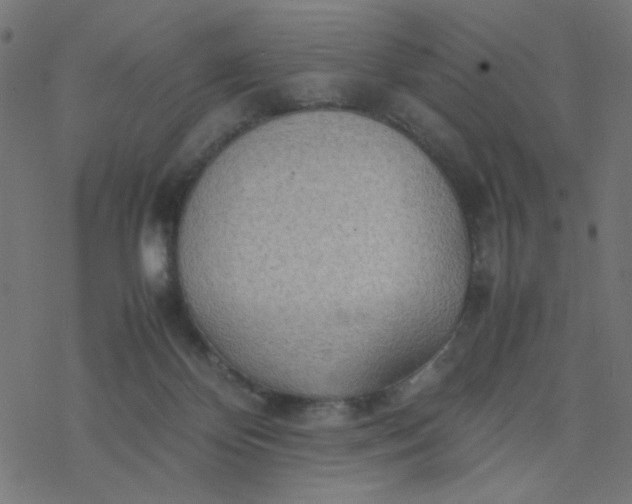 X0000077360124200611031856