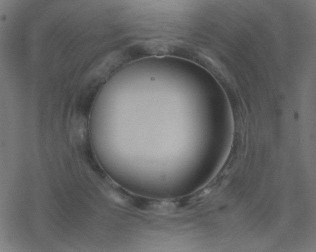 X0000077360125200611031856