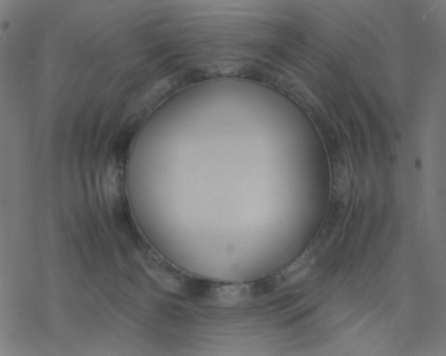 X0000077360126200611031856