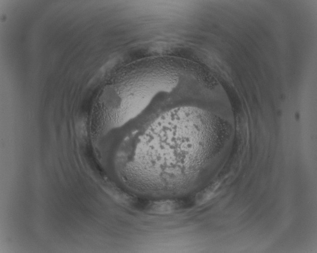 X0000077360127200611031856