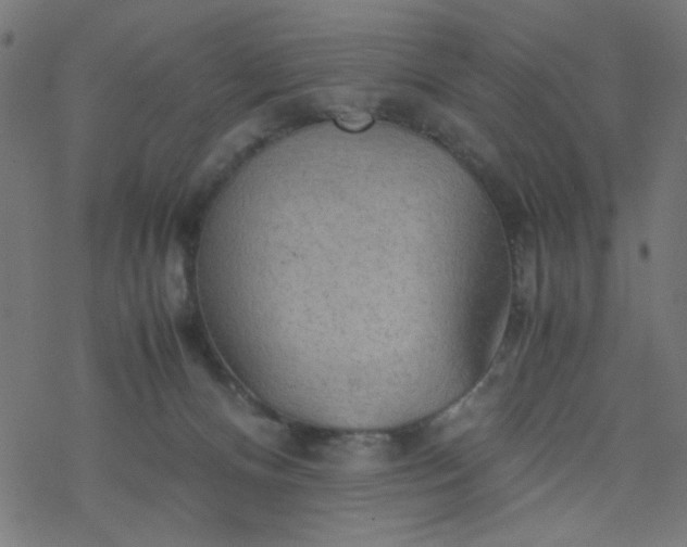 X0000077360128200611031856