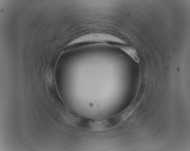 X0000077360129200611031856