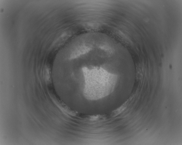 X0000077360130200611031856