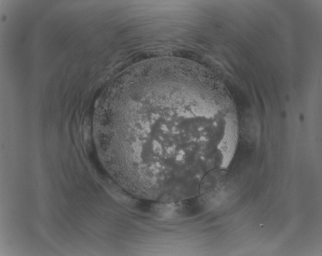 X0000077360131200611031856