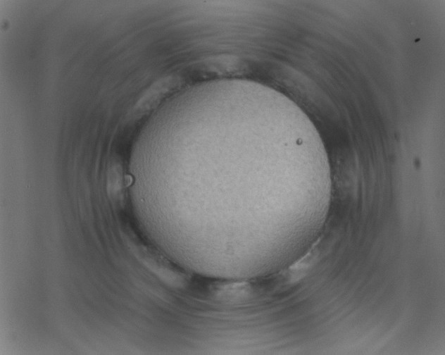 X0000077360132200611031856