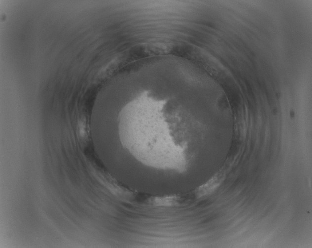 X0000077360134200611031856