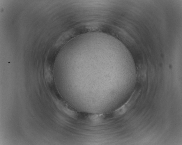 X0000077360136200611031856