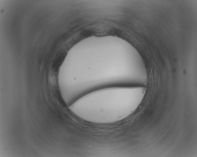 X0000077360137200611031855