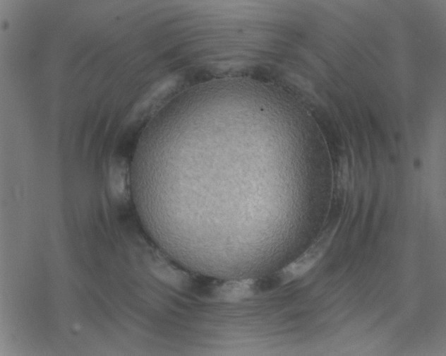 X0000077360138200611031855