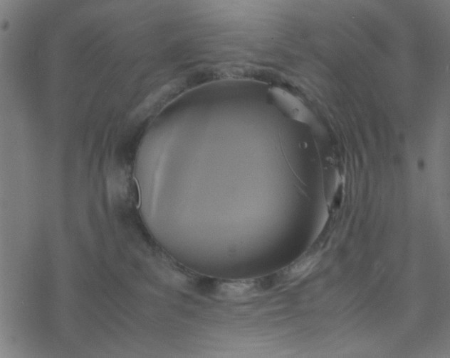 X0000077360139200611031855