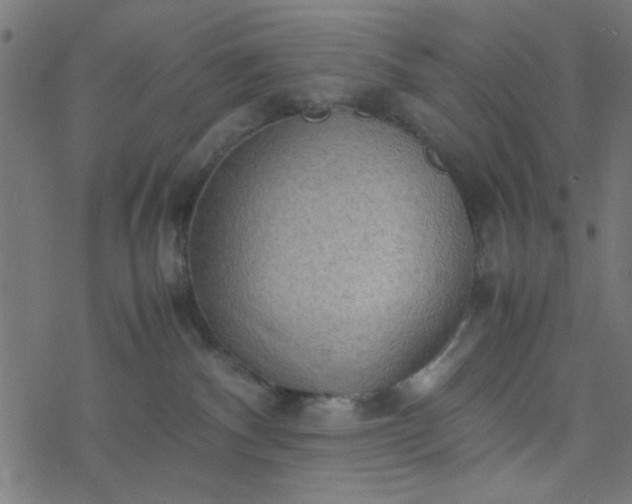 X0000077360140200611031855