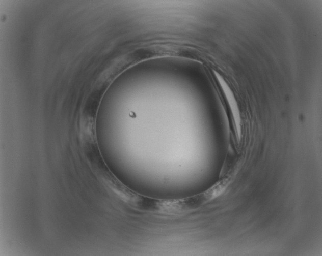 X0000077360141200611031855