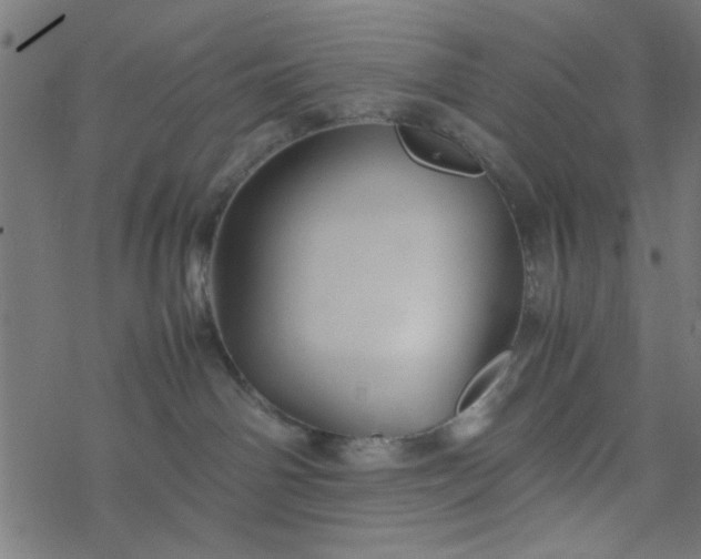 X0000077360142200611031855