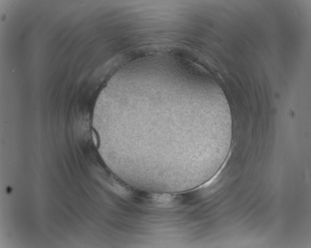 X0000077360144200611031855