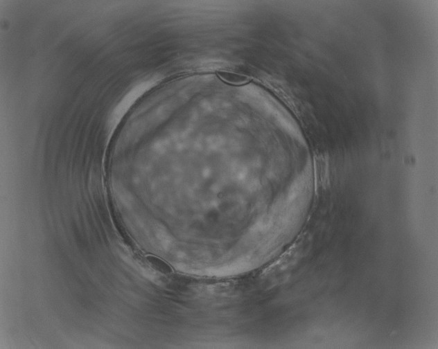 X0000077360147200611031855