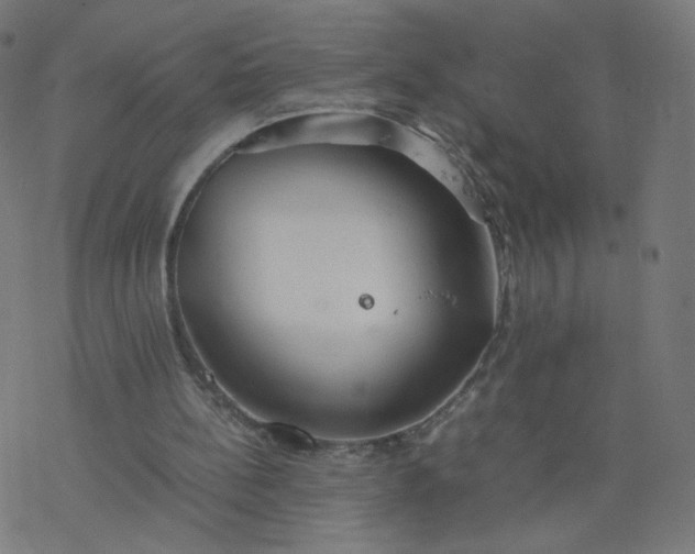 X0000077360148200611031855