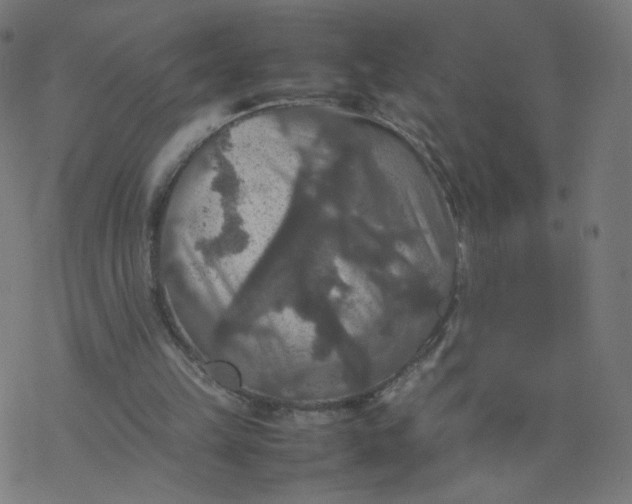 X0000077360149200611031855